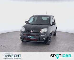 Fiat Panda Gebrauchtwagen