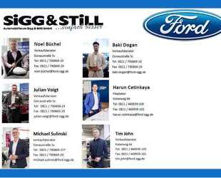 Ford Edge Gebrauchtwagen