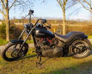 Harley Davidson Softail Gebrauchtwagen