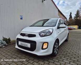 Kia Picanto Gebrauchtwagen