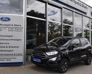Ford EcoSport Gebrauchtwagen