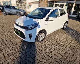 Kia Picanto Gebrauchtwagen