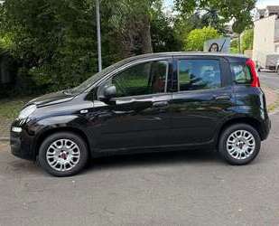 Fiat Panda Gebrauchtwagen