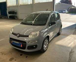 Fiat Panda Gebrauchtwagen