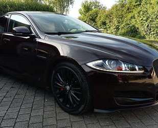 Jaguar XF Gebrauchtwagen