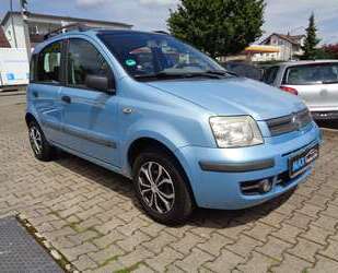 Fiat Punto Gebrauchtwagen