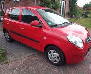 Kia Picanto Gebrauchtwagen