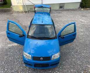 Fiat Punto Gebrauchtwagen