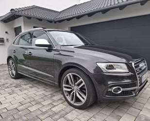 Audi SQ5 Gebrauchtwagen