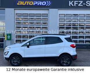 Ford EcoSport Gebrauchtwagen