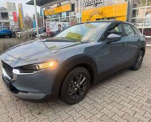 Mazda CX-30 Gebrauchtwagen