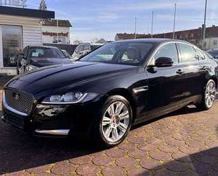 Jaguar XF Gebrauchtwagen