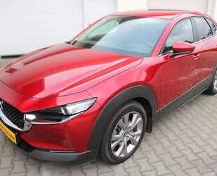 Mazda CX-30 Gebrauchtwagen