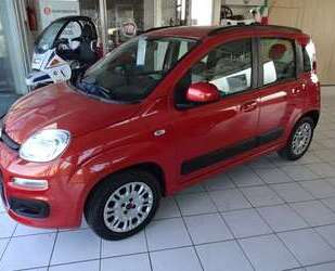 Fiat Panda Gebrauchtwagen