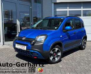 Fiat Panda Gebrauchtwagen