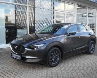 Mazda CX-30 Gebrauchtwagen
