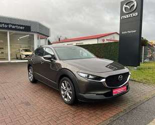 Mazda CX-30 Gebrauchtwagen