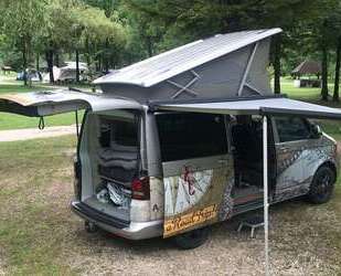 VW Bus Gebrauchtwagen