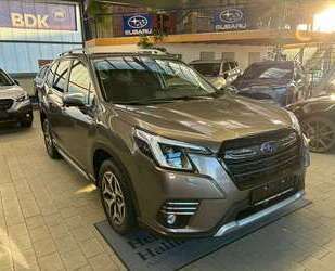 Subaru Forester Gebrauchtwagen