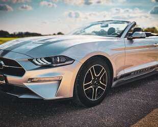 Ford Mustang Gebrauchtwagen