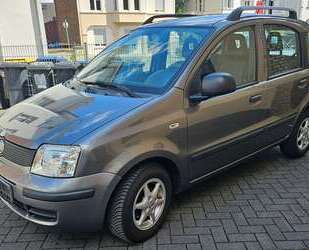 Fiat Panda Gebrauchtwagen