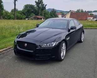 Jaguar XE Gebrauchtwagen