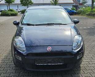Fiat Punto Gebrauchtwagen