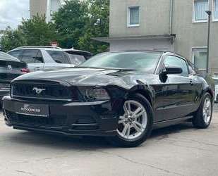 Ford Mustang Gebrauchtwagen