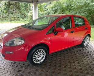 Fiat Punto Gebrauchtwagen