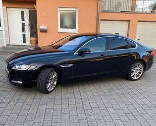 Jaguar XF Gebrauchtwagen