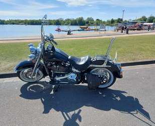 Harley Davidson Softail Gebrauchtwagen