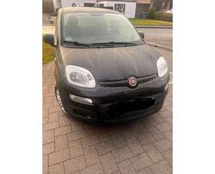 Fiat Panda Gebrauchtwagen