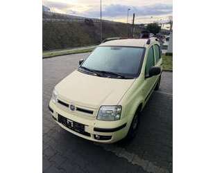 Fiat Panda Gebrauchtwagen