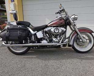 Harley Davidson Softail Gebrauchtwagen