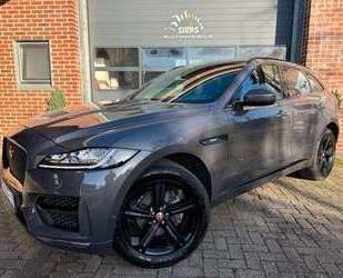 Jaguar F-Pace Gebrauchtwagen