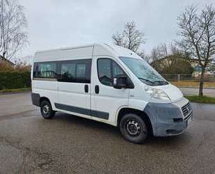 Fiat Ducato Gebrauchtwagen