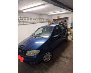 Fiat Punto Gebrauchtwagen