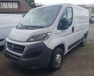 Fiat Ducato Gebrauchtwagen