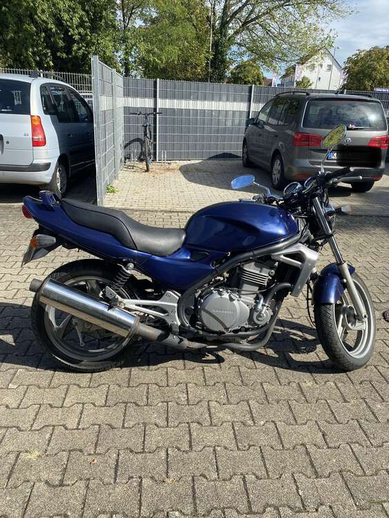 Bild 1