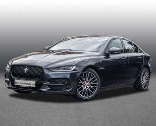 Jaguar XE Gebrauchtwagen