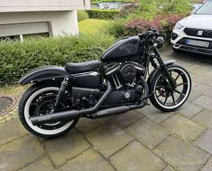 Harley Davidson Iron 883 Gebrauchtwagen