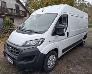 Fiat Maxi Gebrauchtwagen