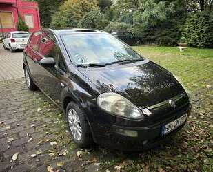 Fiat Punto Gebrauchtwagen