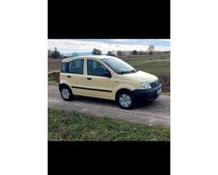 Fiat Panda Gebrauchtwagen