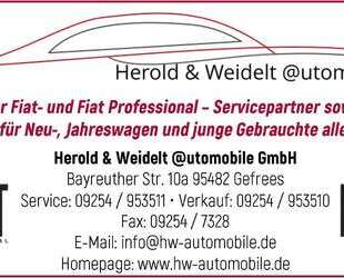 Fiat Panda Gebrauchtwagen