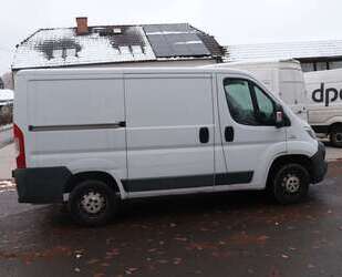 Fiat Ducato Gebrauchtwagen