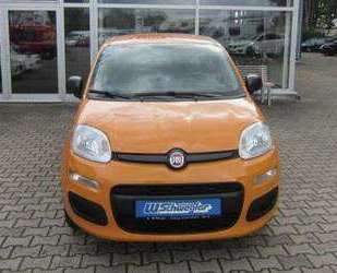 Fiat Panda Gebrauchtwagen