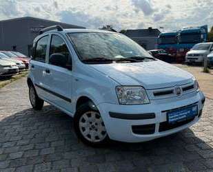 Fiat Panda Gebrauchtwagen