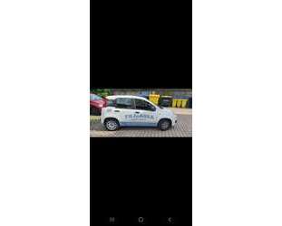 Fiat Panda Gebrauchtwagen