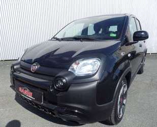 Fiat Panda Gebrauchtwagen